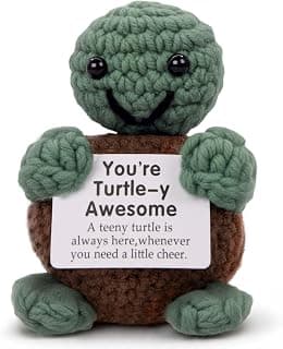 Gifts for father from Daughter Son - Funny Crochet Emotional Support Turtle with Positive Card, Cute Handmade Knitted Pocket Hug Desk Decor Birthday Gift for Fathers Day Women Wife Mama Father